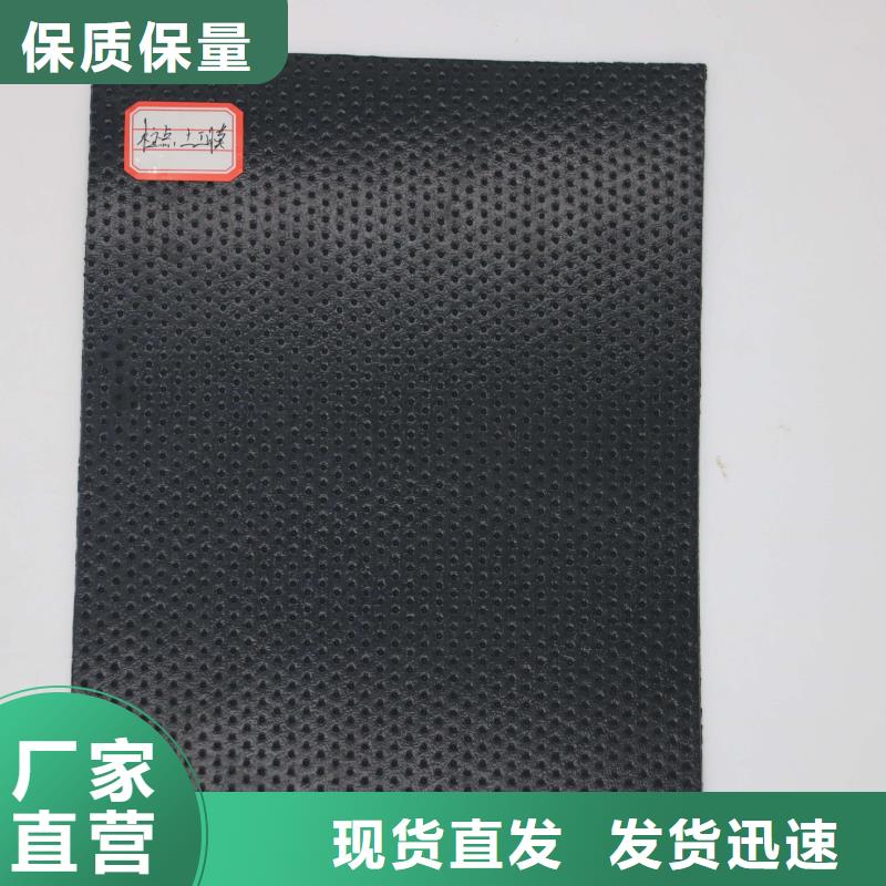 土工膜多向塑料土工格栅现货充足