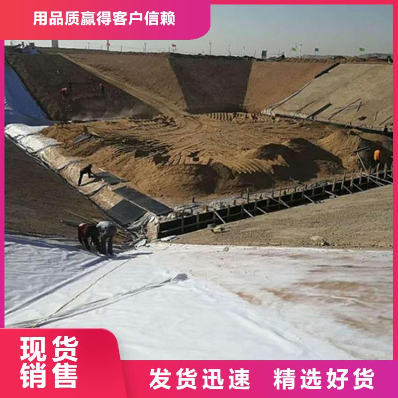 土工膜玻璃纤维土工格栅设计制造销售服务一体