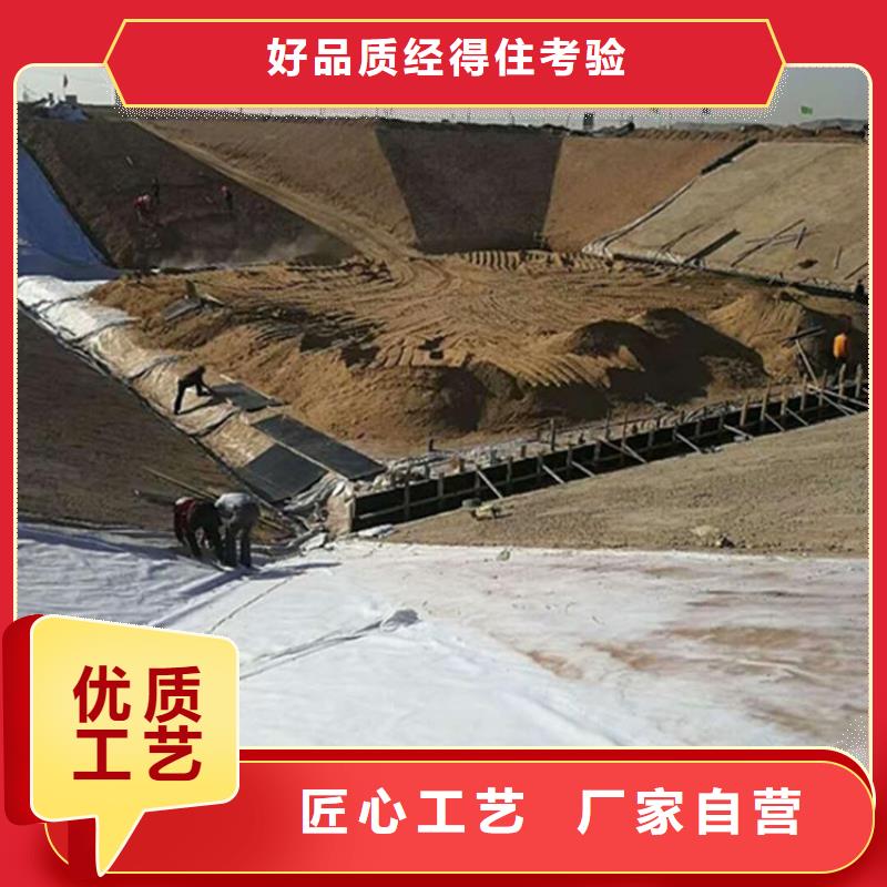 土工膜玻璃纤维土工格栅设计制造销售服务一体