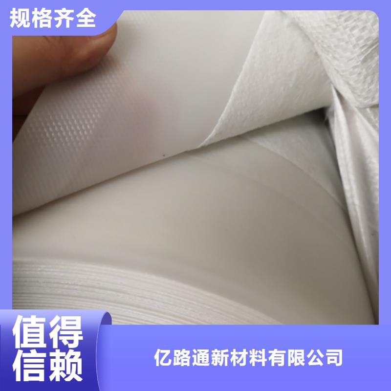 土工膜【涤纶土工格栅】源厂直接供货