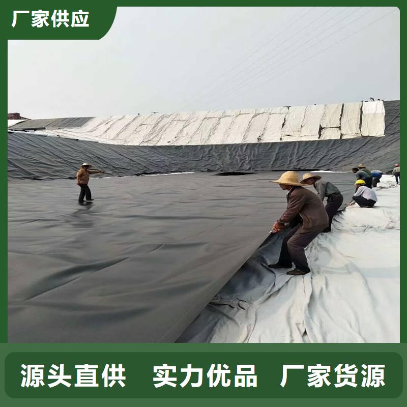 【土工膜】三维水土保护毯优质材料厂家直销