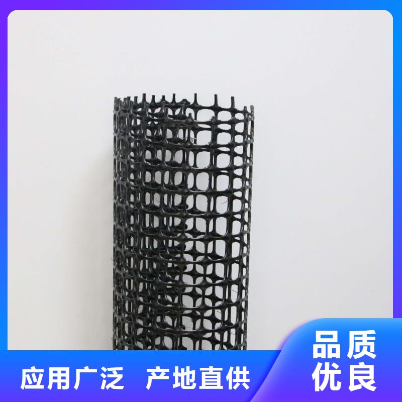 土工格栅-护坡土工网实力厂家直销