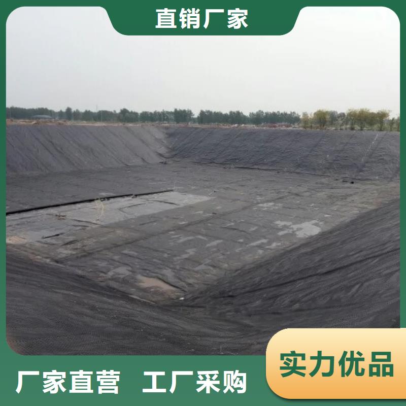 土工格栅护坡土工网批发商