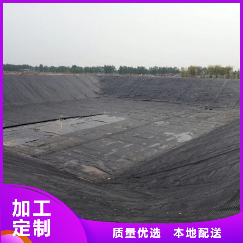 土工格栅玻璃纤维土工格栅应用范围广泛