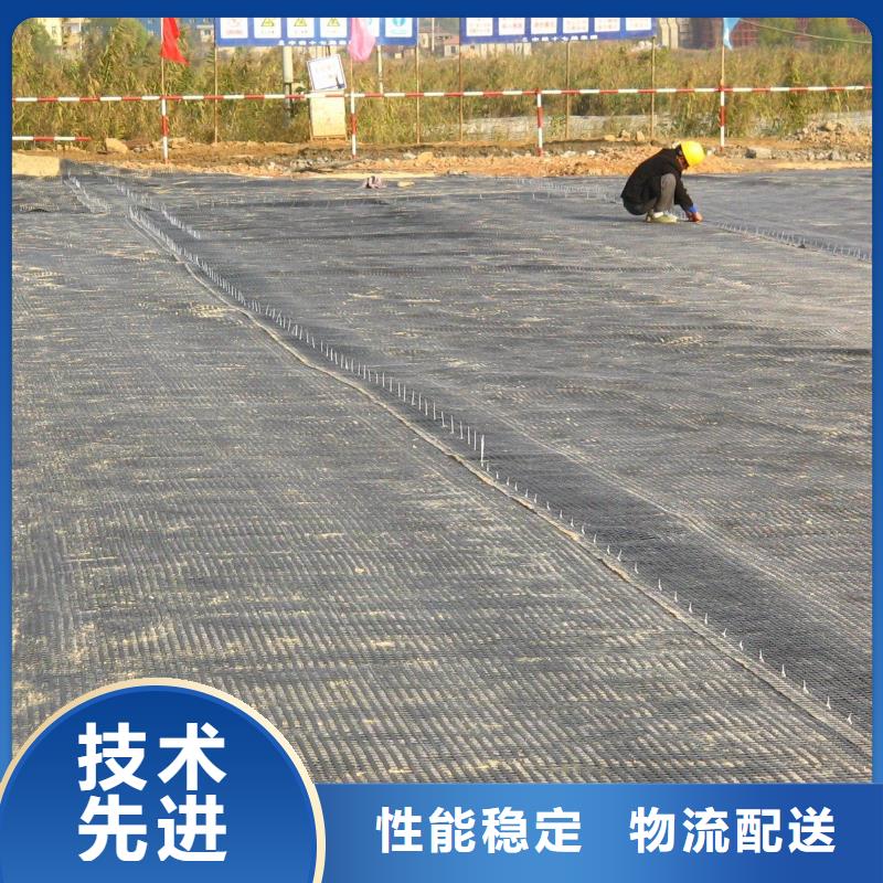 【土工格栅_双向塑料土工格栅大品牌值得信赖】