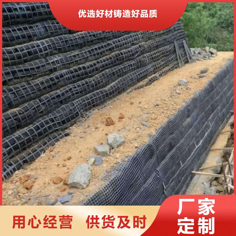 土工格栅三维水土保护毯价格公道合理