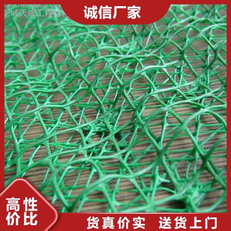 三维植被网,玻纤土工格栅值得买