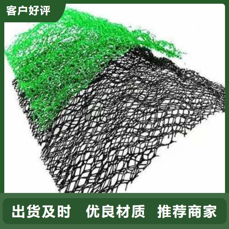 三维植被网土工格室库存量大