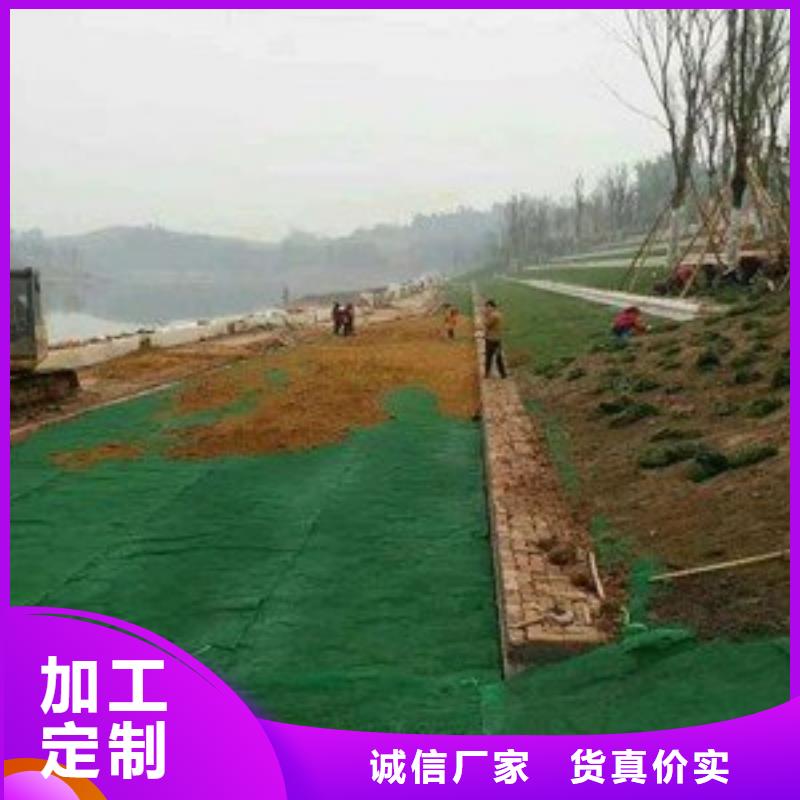 三维植被网-钢塑土工格栅产地采购