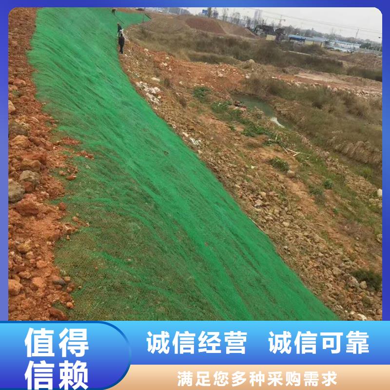 三维植被网土工格室库存量大