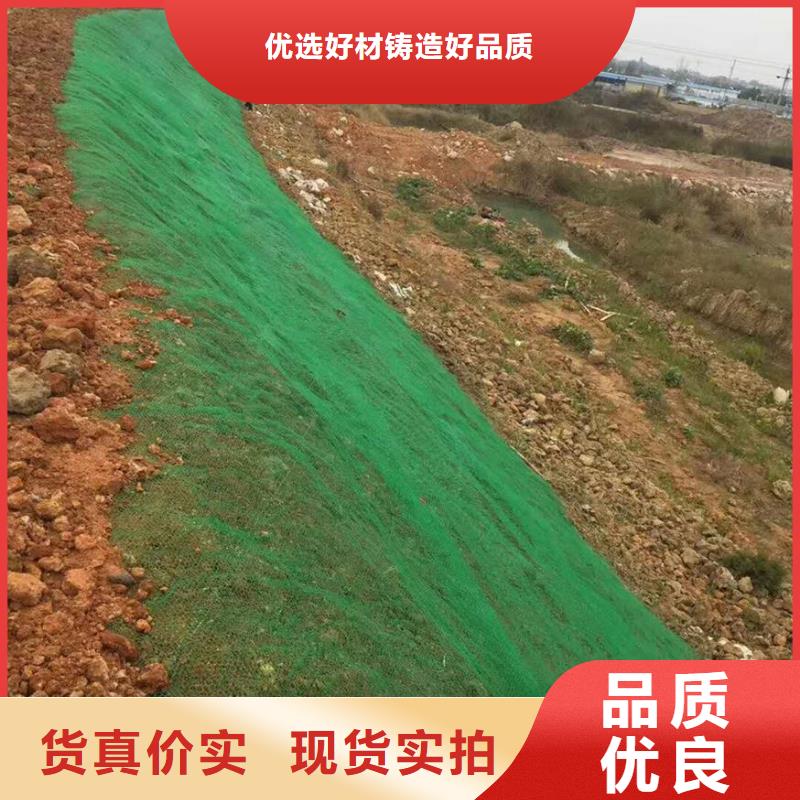 三维植被网软式透水管放心得选择