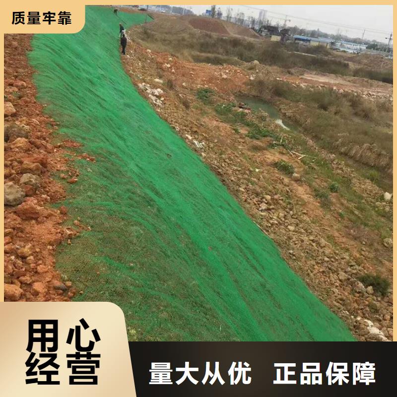 三维植被网-单向塑料土工格栅为品质而生产