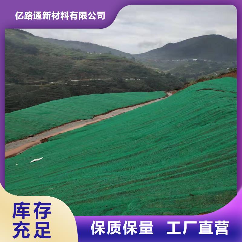 三维植被网三维水土保护毯好产品好服务