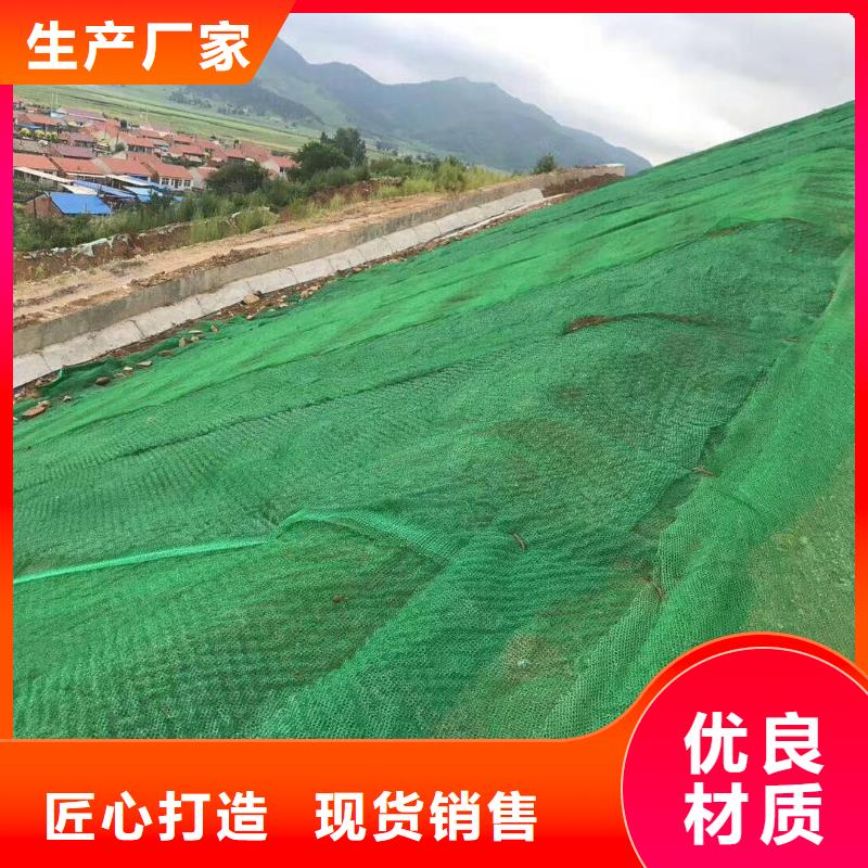 三维植被网钢塑土工格栅厂家质量牢靠
