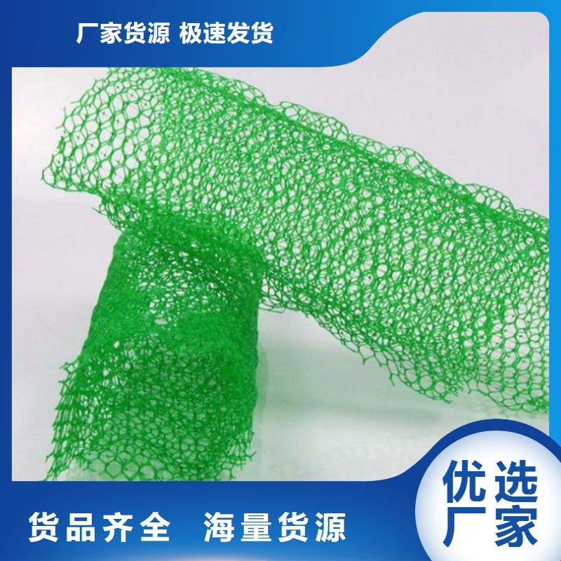 三维植被网土工格室优质原料