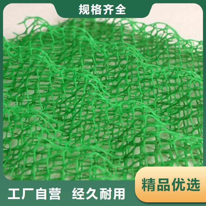 三维植被网土工格室库存量大