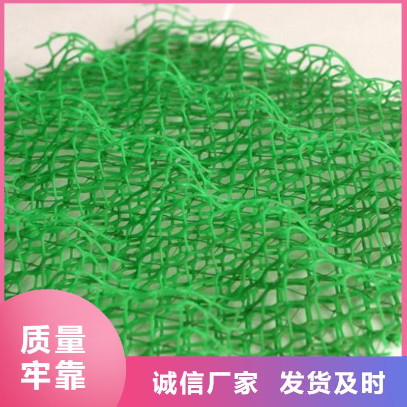 【 三维植被网-短丝土工布免费安装】同城品牌