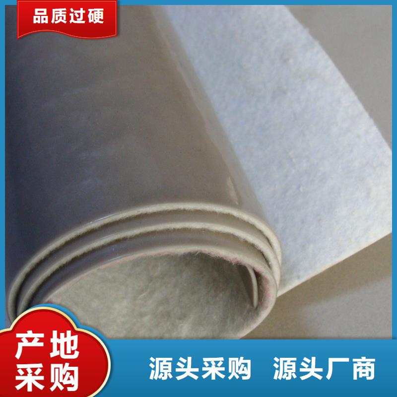 EVA防水板凸结点钢塑土工格栅老品牌厂家