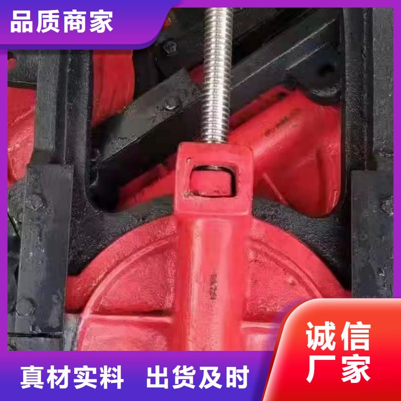  铸铁闸门合作共赢