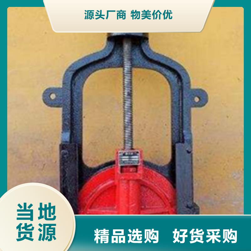 铸铁闸门,清污机工期短发货快