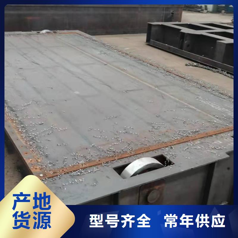 钢闸门,电动头启闭机按需定做