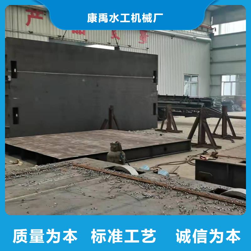  钢闸门实地大厂