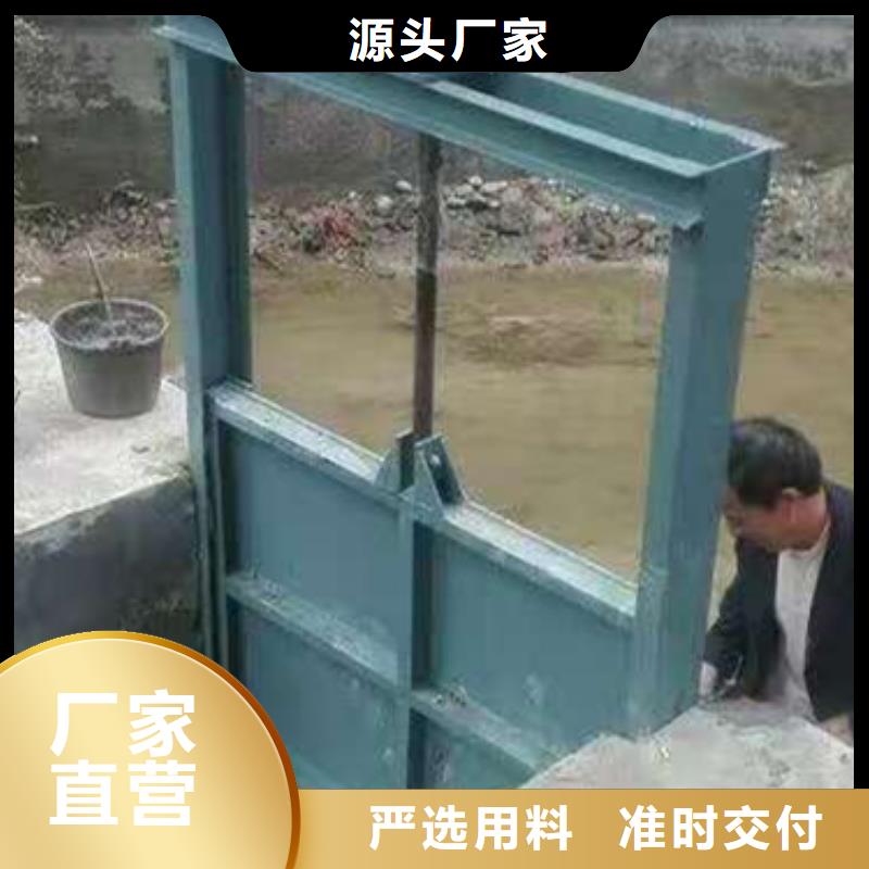 景观钢闸门可定制