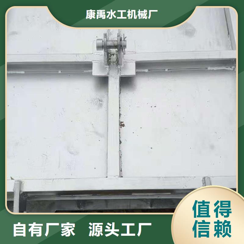  钢闸门实地大厂