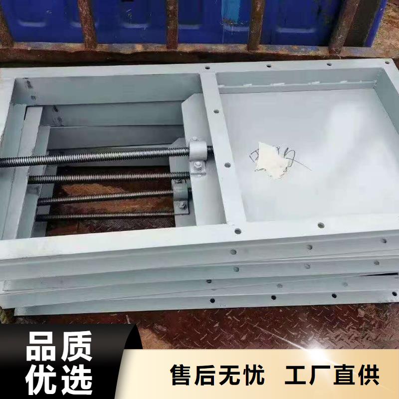钢闸门,电动头启闭机按需定做