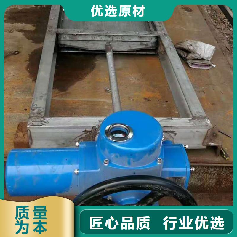 钢闸门电动头启闭机正规厂家