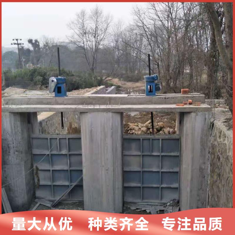 钢闸门电动头启闭机正规厂家