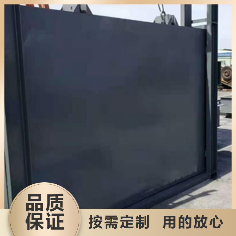 钢闸门抓斗清污机用的放心