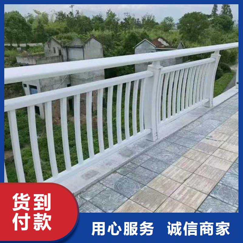 护栏_河堤防撞护栏实力见证
