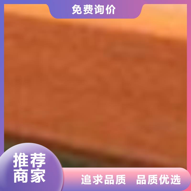 护栏,桥梁护栏厂货到付款