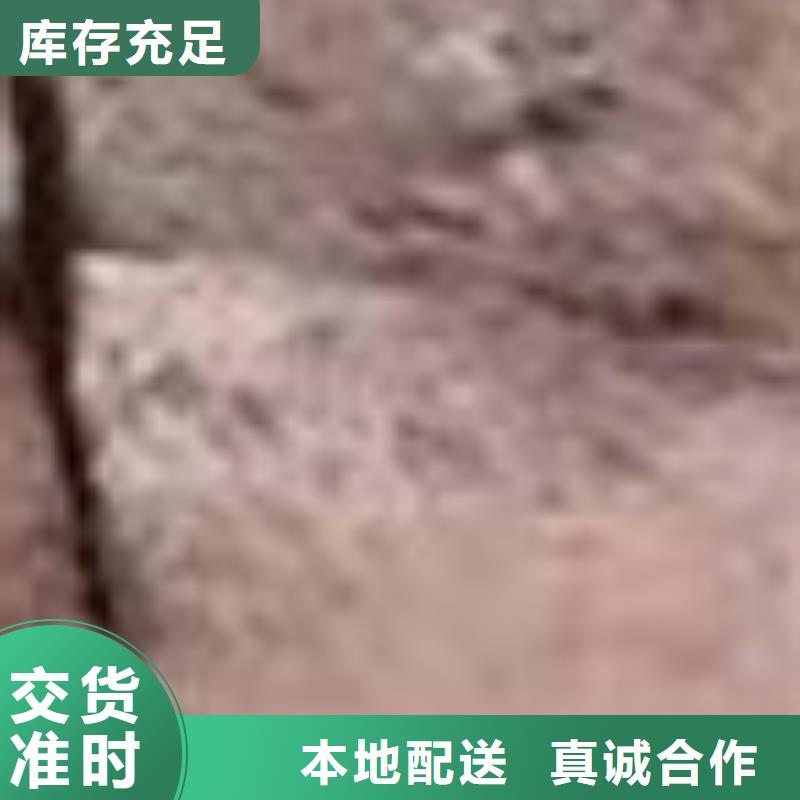 不锈钢景观栏杆-实体厂家