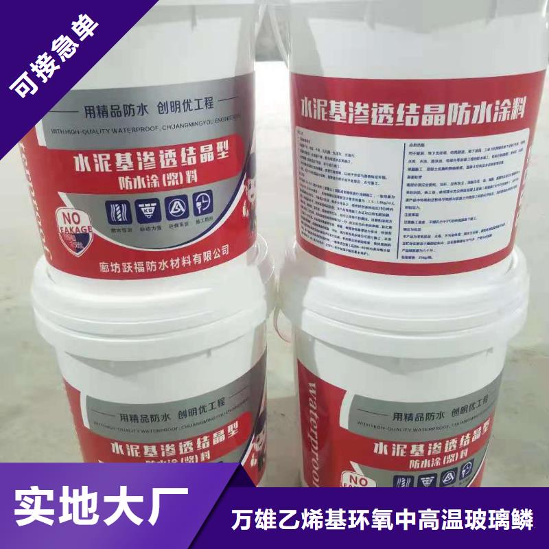 水泥基渗透结晶型防水涂料乙烯基玻璃鳞片胶泥闪电发货