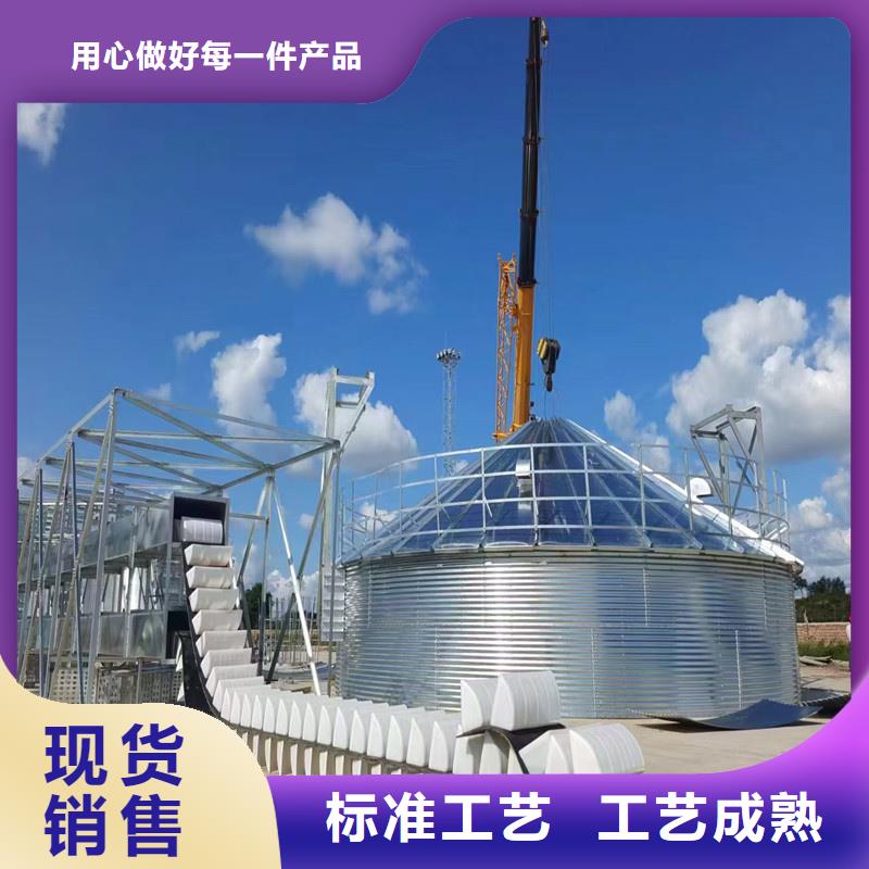 粮食立式筒仓实力过硬厂家