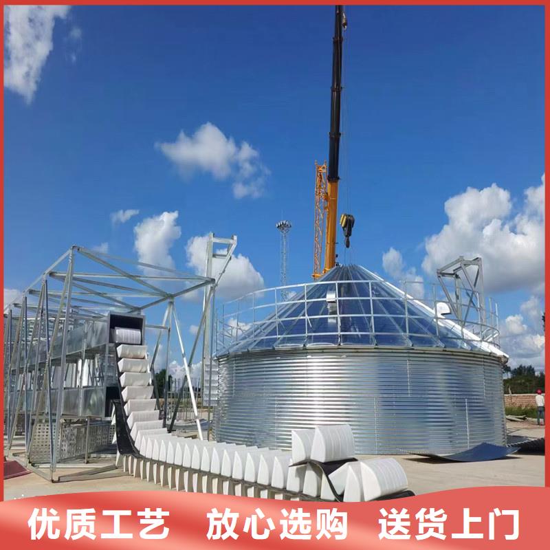 大豆装配式粮仓钢板仓精选商家