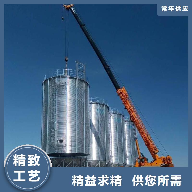 大型立式粮食储存仓选大型立式粮食储存仓厂家