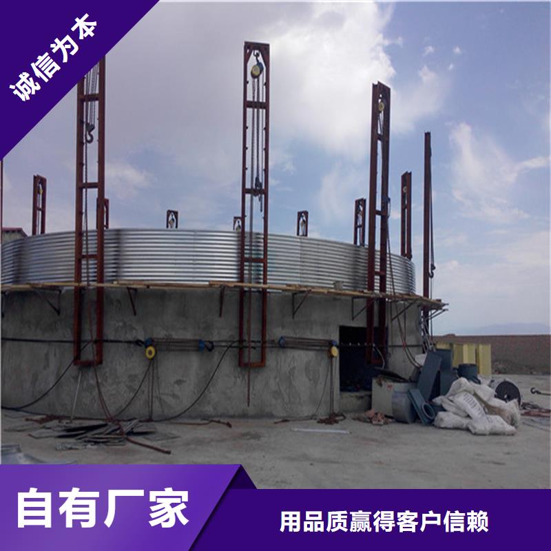 大型立式粮食筒仓厂家设备齐全