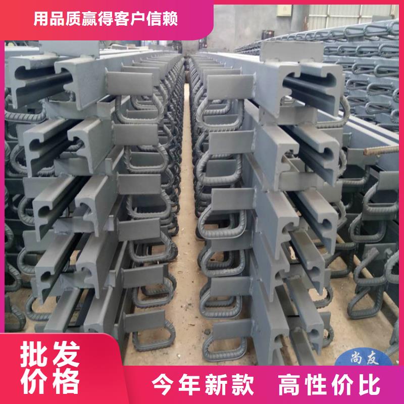桥梁伸缩缝【减震球型钢支座】通过检测