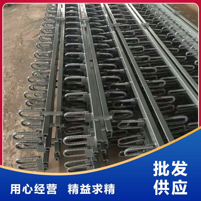 桥梁伸缩缝【网架钢支座】精挑细选好货