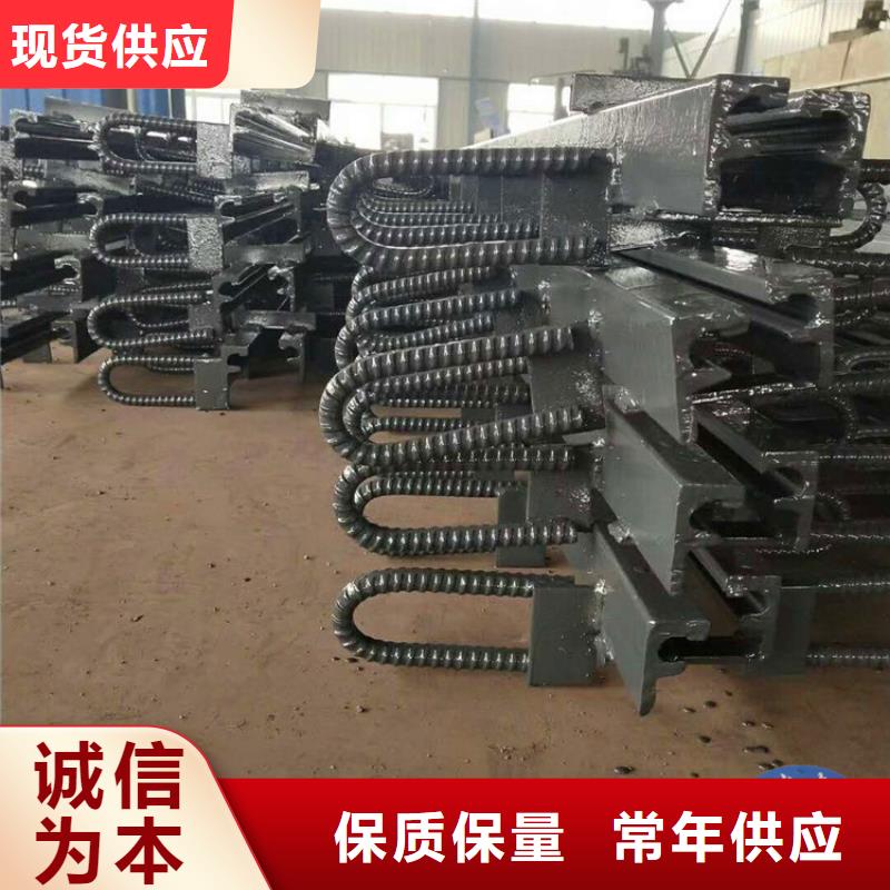 【桥梁伸缩缝】-模数式桥梁伸缩缝应用范围广泛|网架钢支座-瑞诚工程橡胶(潍坊市分公司)
