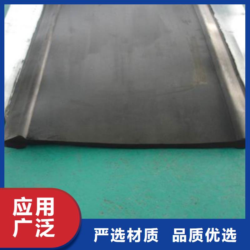 橡胶止水带-【桥梁支座】精选厂家好货