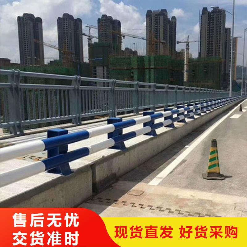 订购<神龙>道路护栏-用的放心