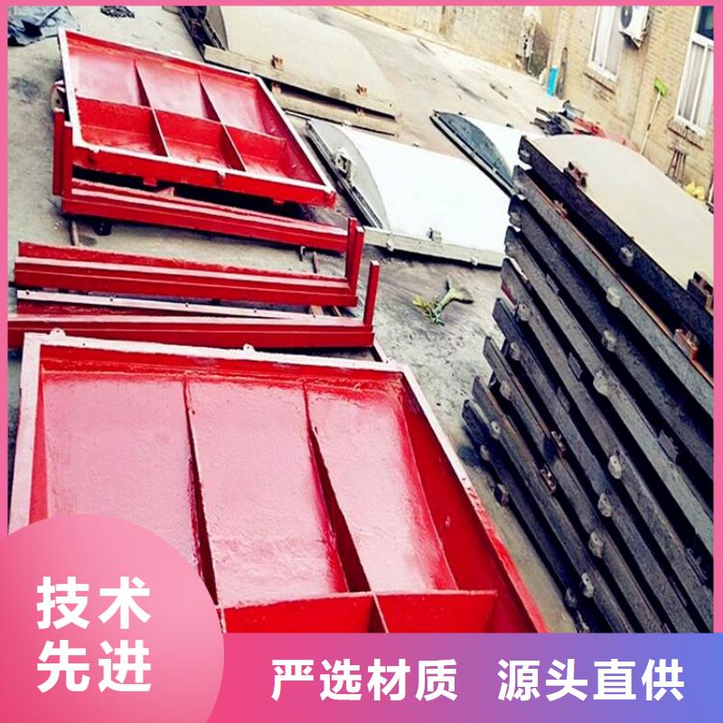  铸铁闸门有实力有经验