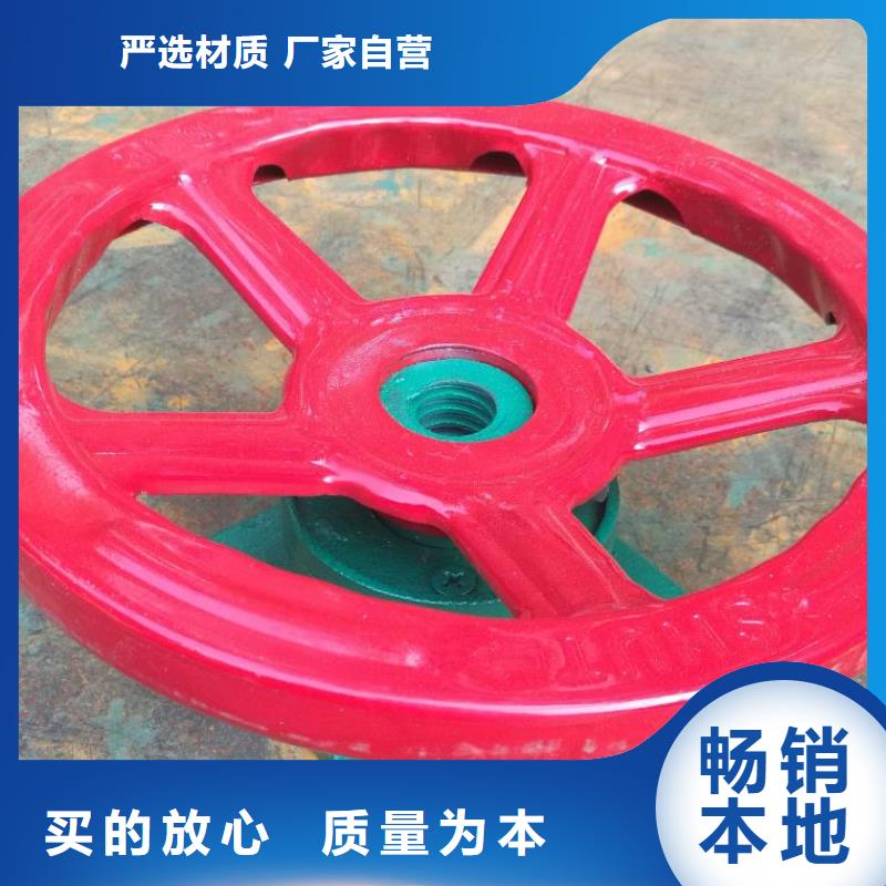 螺杆启闭机钢制拍门厂家多种场景适用