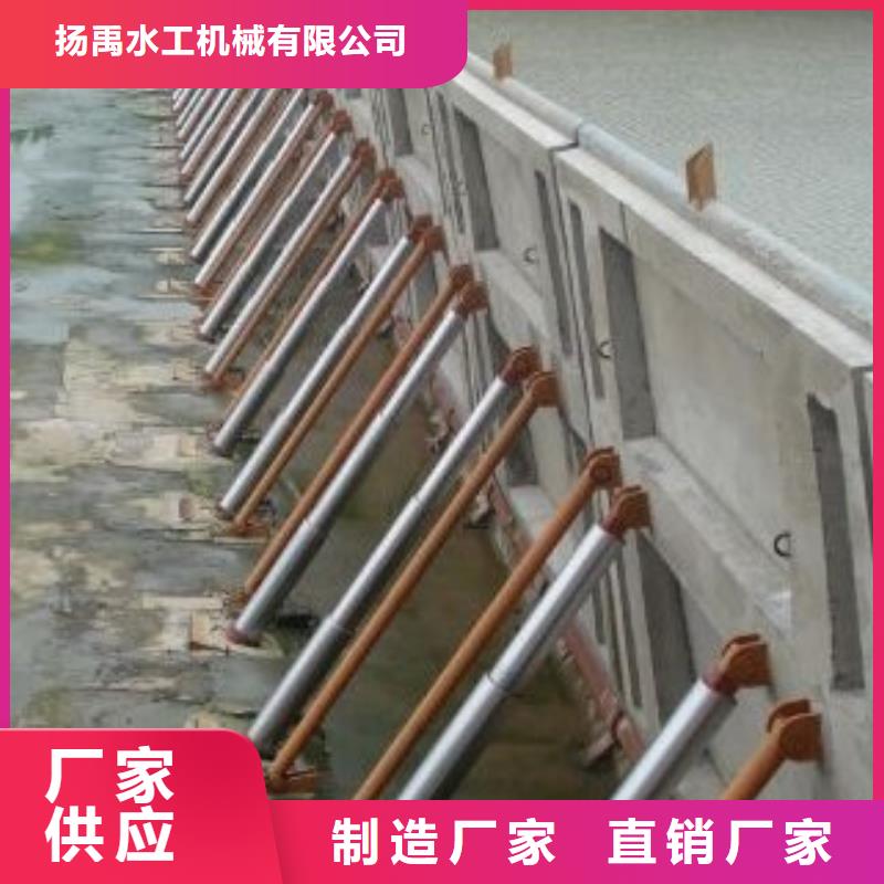 水库闸门实体大厂