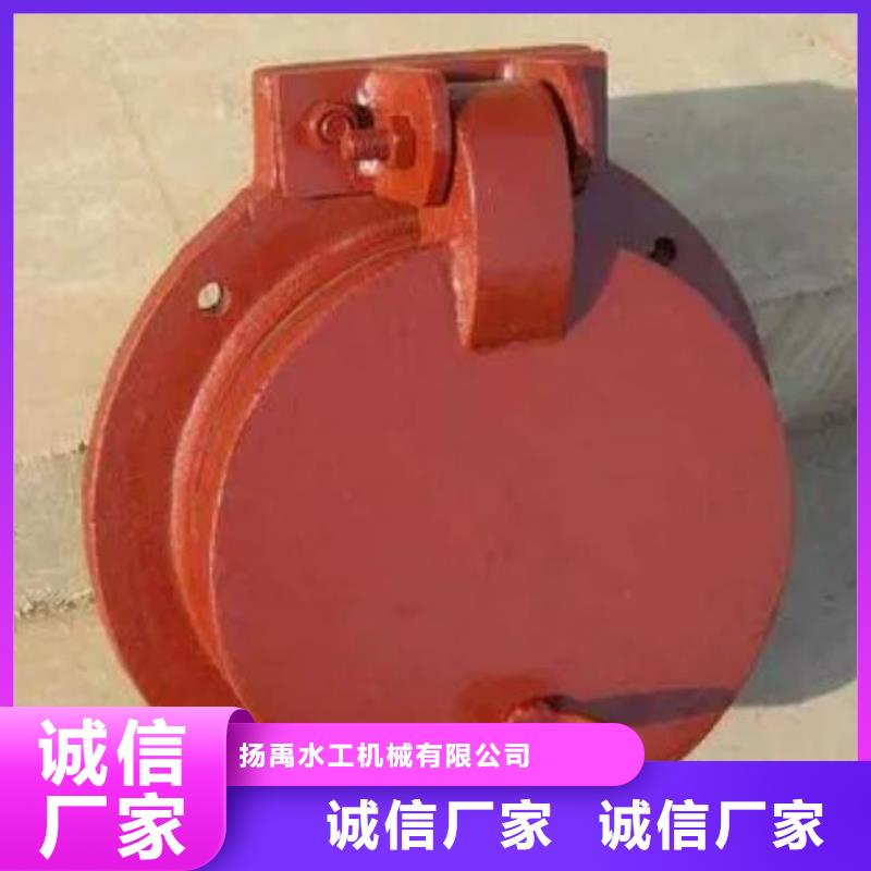 拍门铸铁闸门厂家厂家批发价