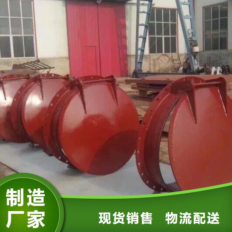 制造商拍门 【铸铁闸门】厂家销售